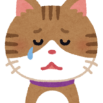 のらねこ